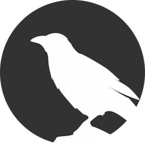 raven digital logo